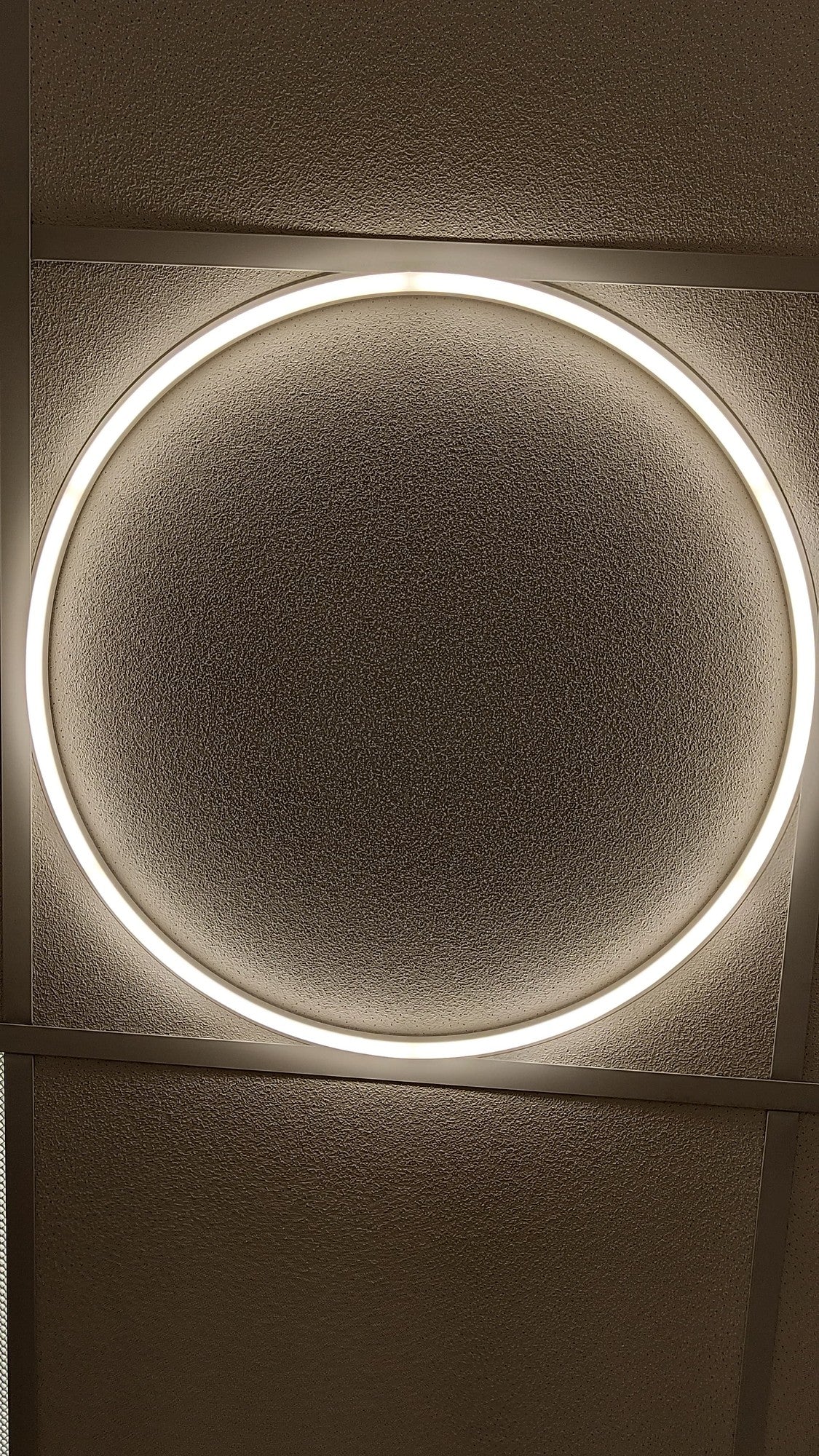 Round Halo LED Linear Frame Light lit in use in a ceiling grid