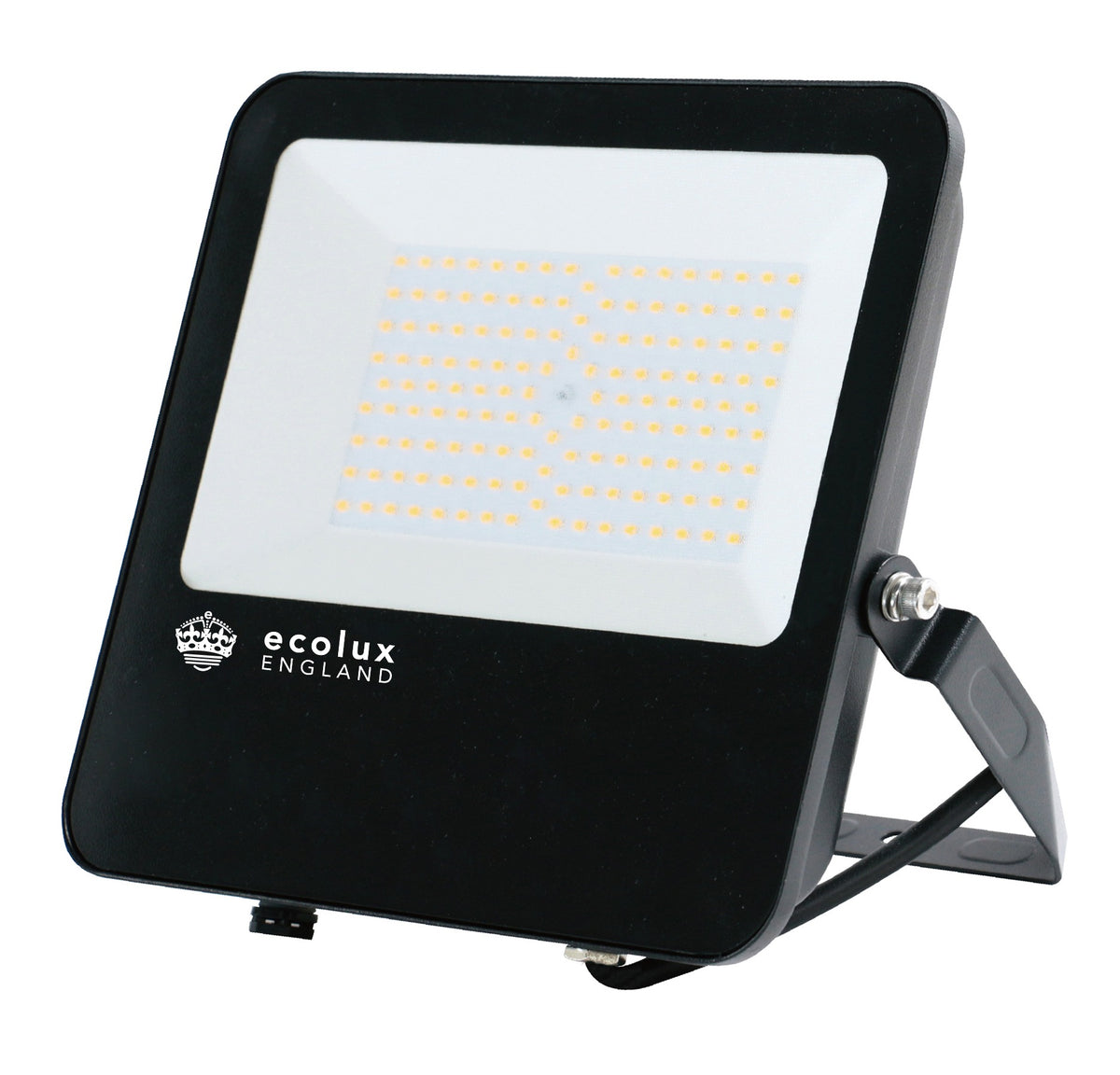 LED Dual Voltage Floodlight 100W – front view, ecolux England, black, no sensor