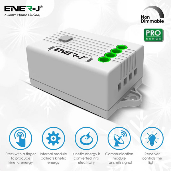 Ener-J 500W Non Dimmable RF receiver for Kinetic Switches (PRO RANGE)