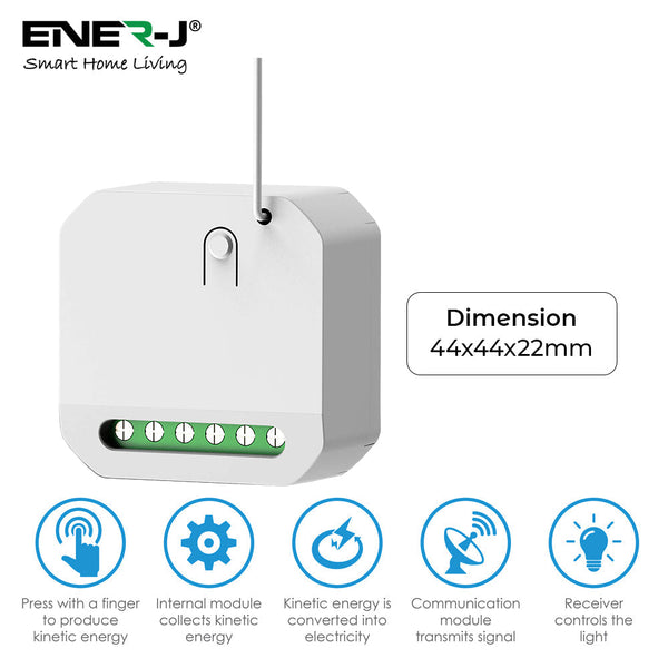 Ener-J Non Dimmable Wi-Fi 5A RF Mini Receiver