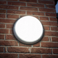 AIO bulkhead installed on exterior brick wall at dusk, lit