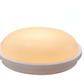 20W IP65 bulkhead glowing warm white 2700K
