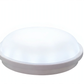 20W IP65 bulkhead glowing daylight 6500K