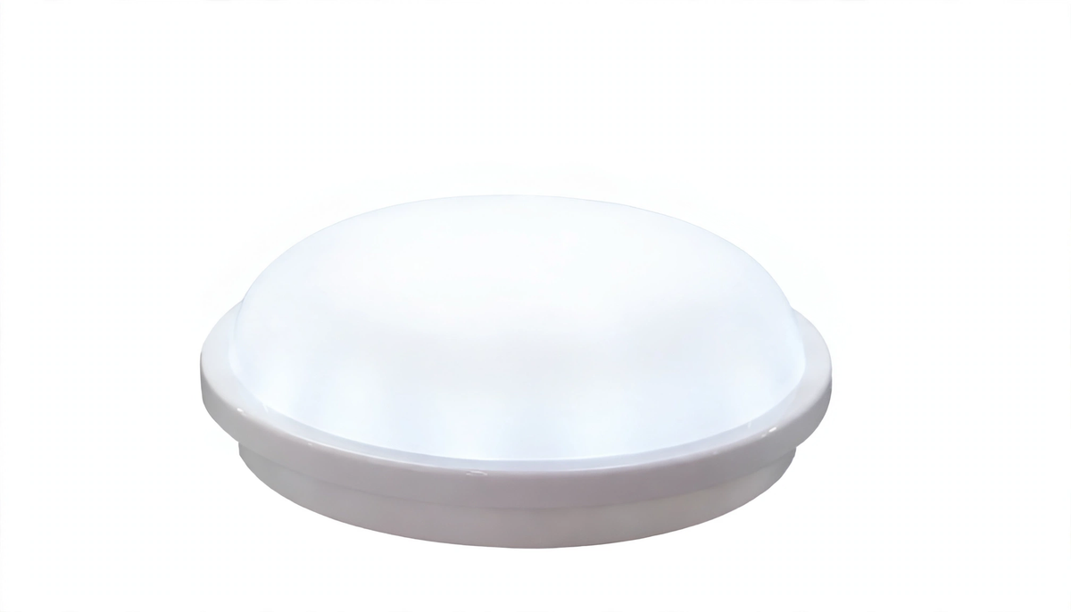 20W IP65 bulkhead glowing daylight 6500K
