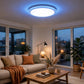 18+6W blue edge panel - living room ceiling