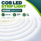 COB LED Strip Light 6500K Daylight – 24V DC, 1050 lm per m, CRI over 90, 5m roll, 10W per m, IP20