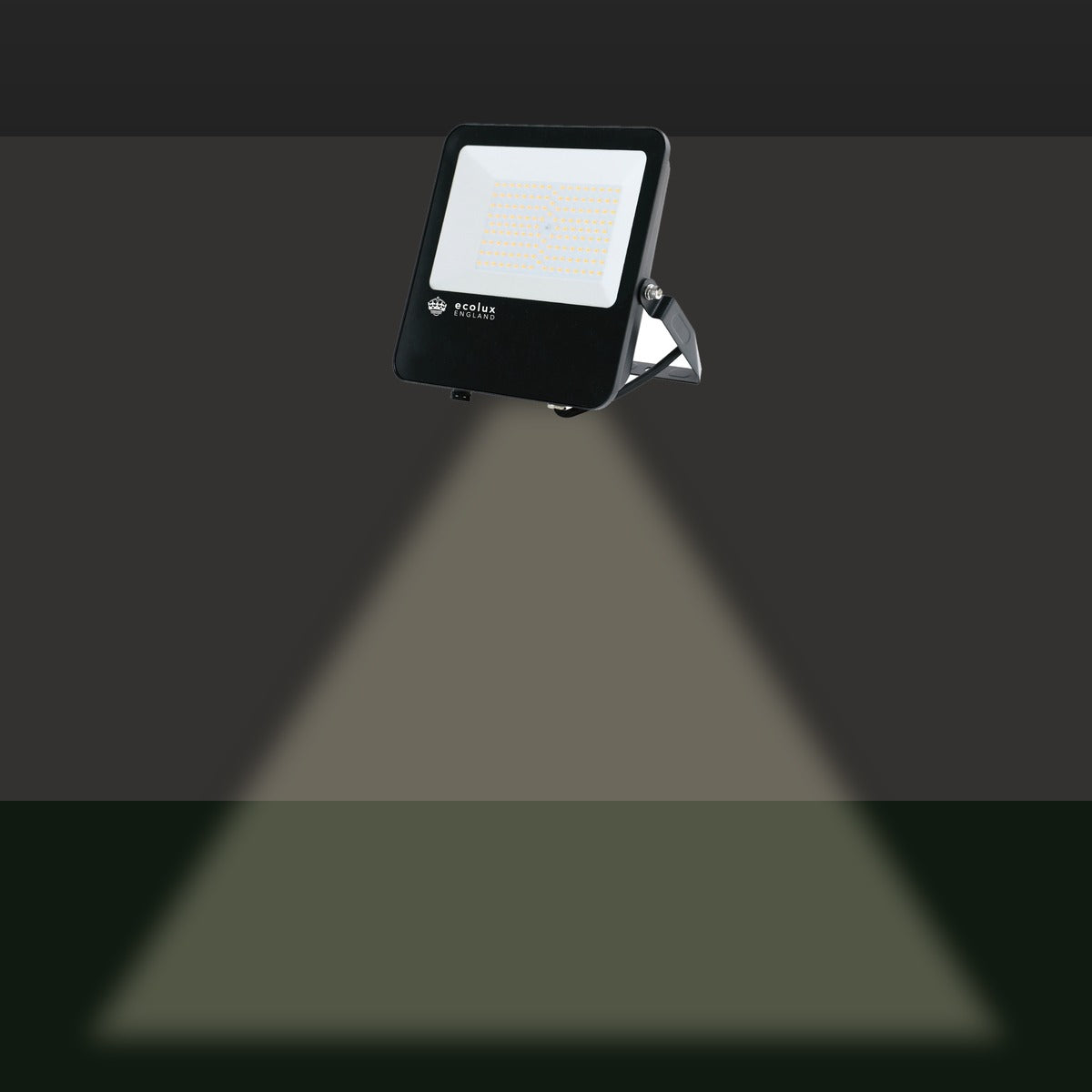 LED Floodlight lighting a garden at night - gallery