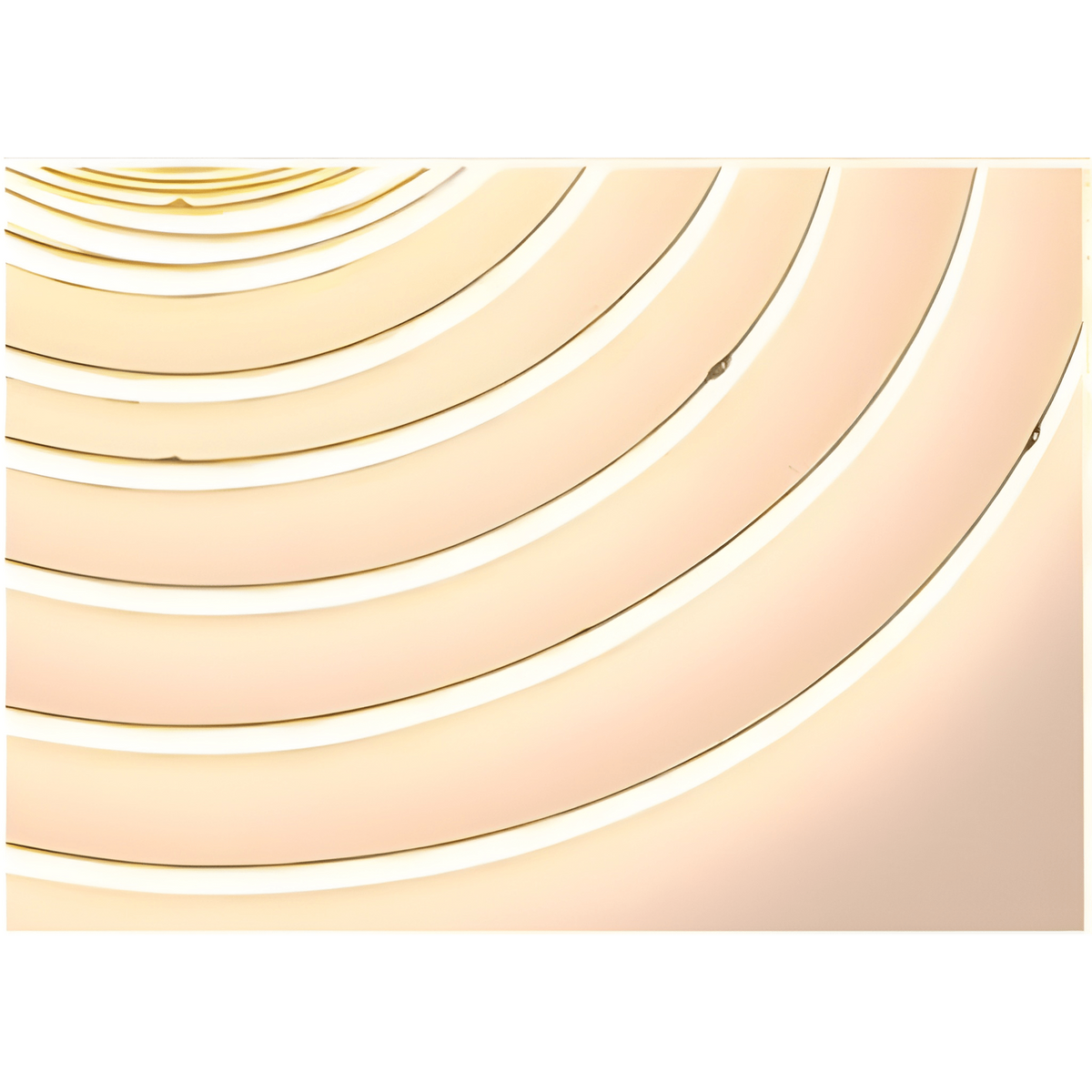 5m COB LED Strip Light 4000K Cool White - coiled strip on reel, cool white dot-free glow