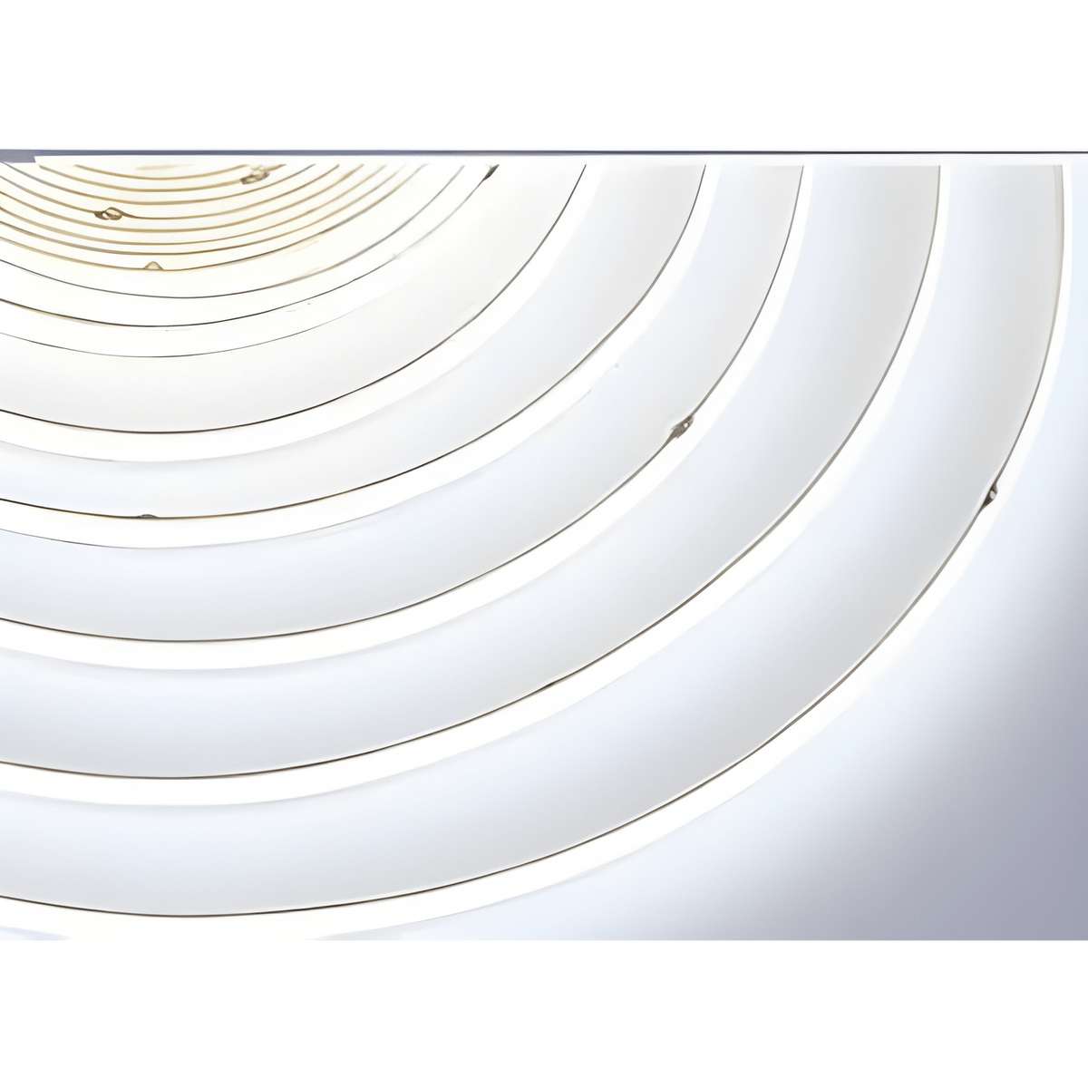 5m COB LED Strip Light 6500K Daylight - coiled strip on reel, daylight dot-free glow